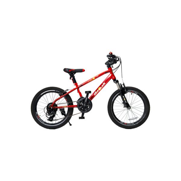 دوچرخه کودک کوهستان آساک مدل آرسکا کد B-208-5202100 سایز طوقه 20 اینچ