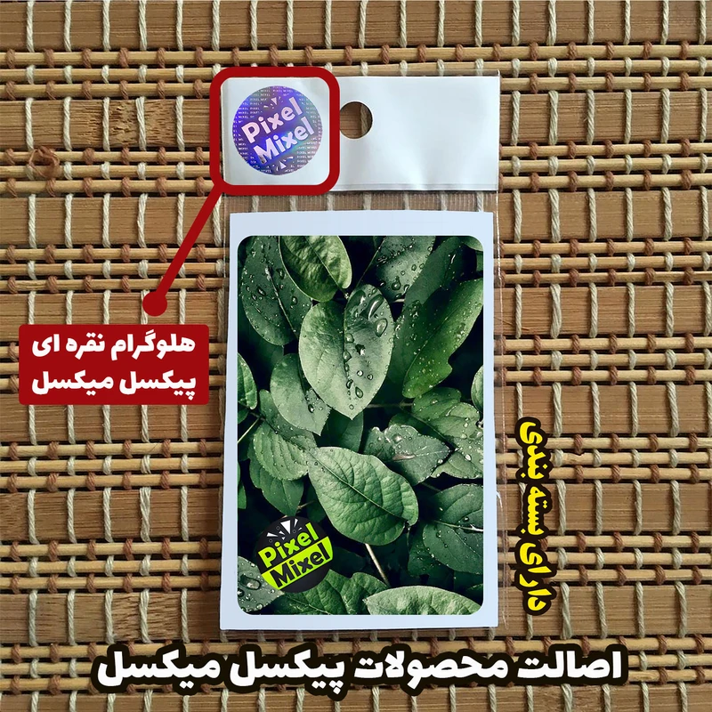 عکس شماره 4