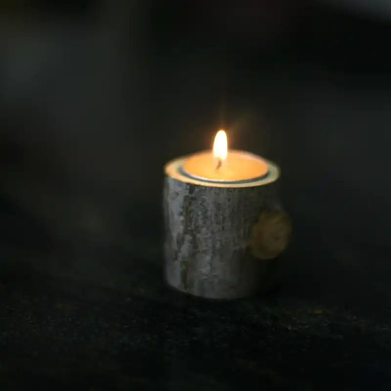 جاشمعی چوبی وودلند زون مدل درختی بسته 2 عددی