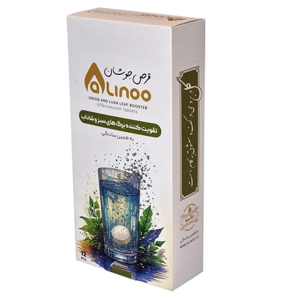قرص جوشان ویژه رشد برگ گیاهان زینتی عالینو مدل Green وزن 60 گرم بسته 12 عددی