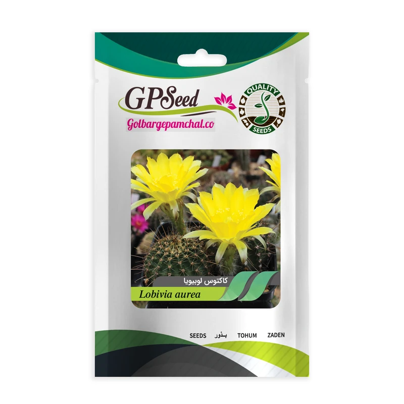 بذر کاکتوس لوبیویا گلبرگ پامچال کد GPF-189