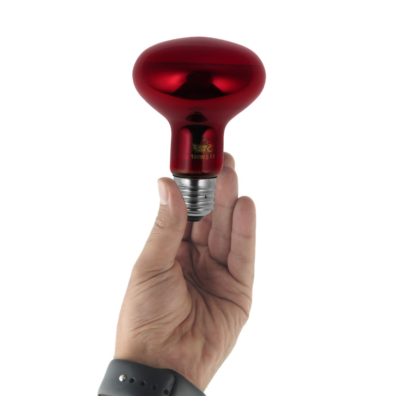 لامپ مادون قرمز 100 وات لاکی هرپ مدل INFRARED-220V-100W-E27