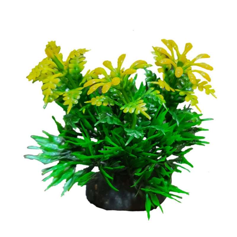گیاه تزیینی آکواریوم مدل بوته گلدار کوتوله 