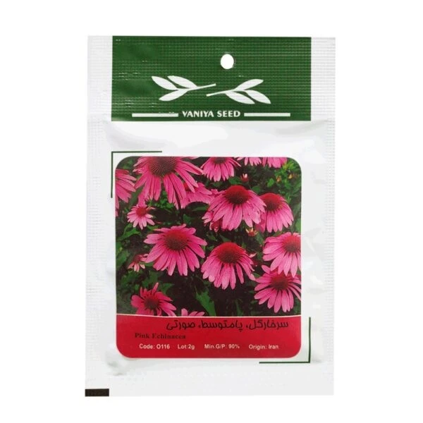 بذر گل سرخارگل پامتوسط صورتی وانیا سید مدل BA10107