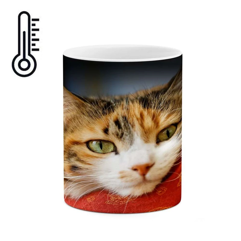 ماگ حرارتی کاکتی مدل گربه کد mgh16096