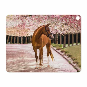 MAHOOT Horse-1 Cover Sticker for Apple iPad Pro 12.9 GEN 3 2018 A1983