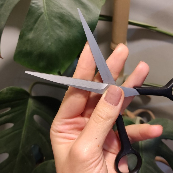 قیچی اصلاح مدل Gh601