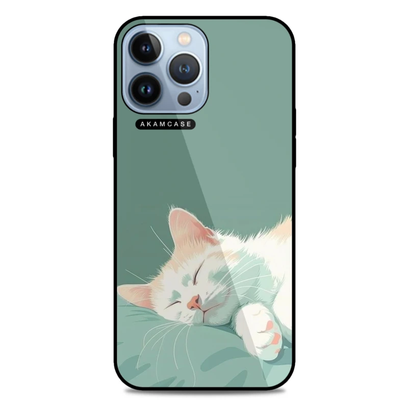 کاور آکام مدل AMC-WA13PROMAX-CATS-24 مناسب برای گوشی موبایل اپل iPhone 13 Pro Max