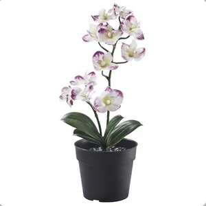 گلدان به همراه گل مصنوعی ایکیا مدل fejka کد 50593216