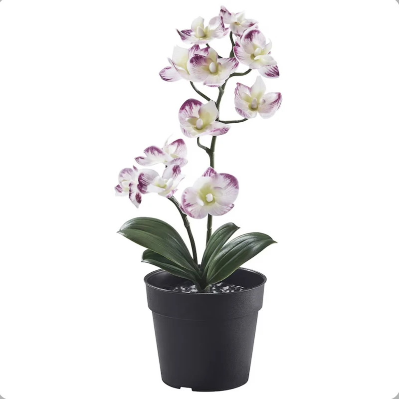 گلدان به همراه گل مصنوعی ایکیا مدل fejka کد 50593216