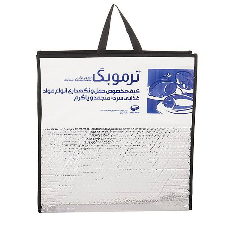 ساک خنک نگهدارنده سرماگرم مدل ترموبگ