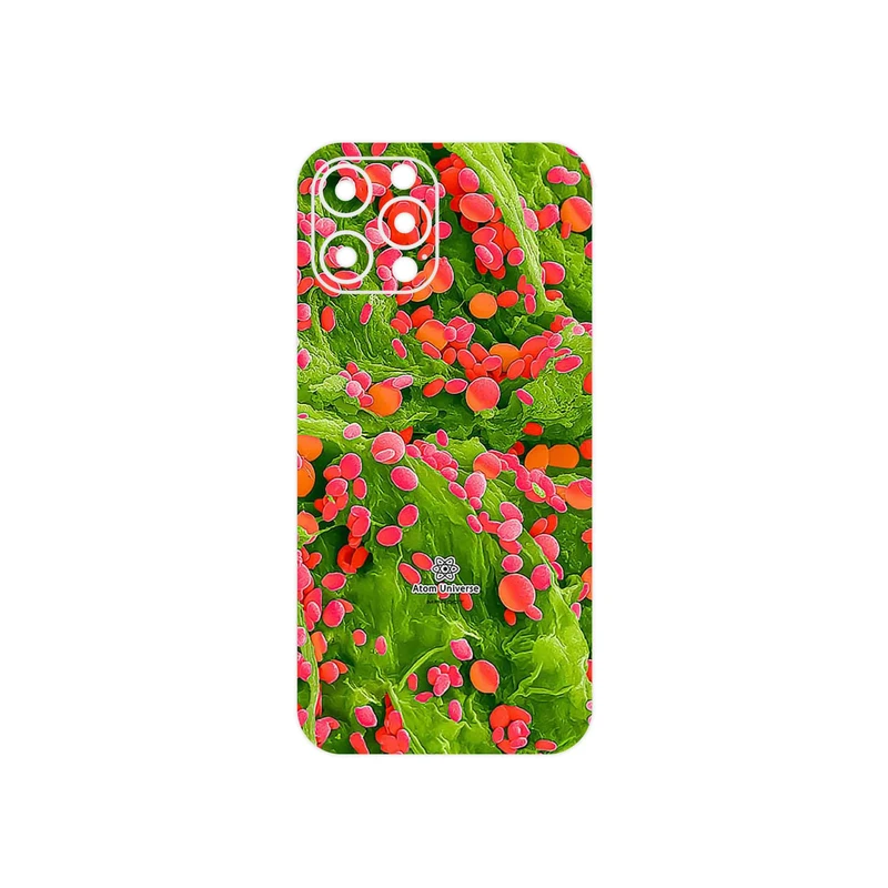 برچسب پوششی ماهوت مدل Atom Universe 3 مناسب برای گوشی موبایل اپل iPhone 12 Pro Max