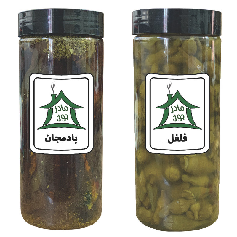 ترشی فلفل و ترشی بادمجان خونه مادرجون بسته 2 عددی