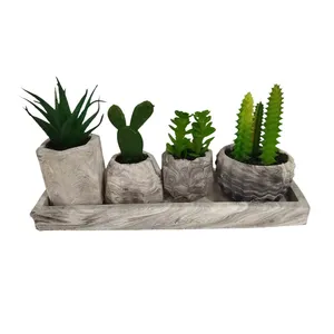 گلدان به همراه کاکتوس مصنوعی مدل 21163 بسته 4 عددی