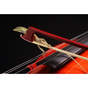 تابلو شاسی مدل T5847