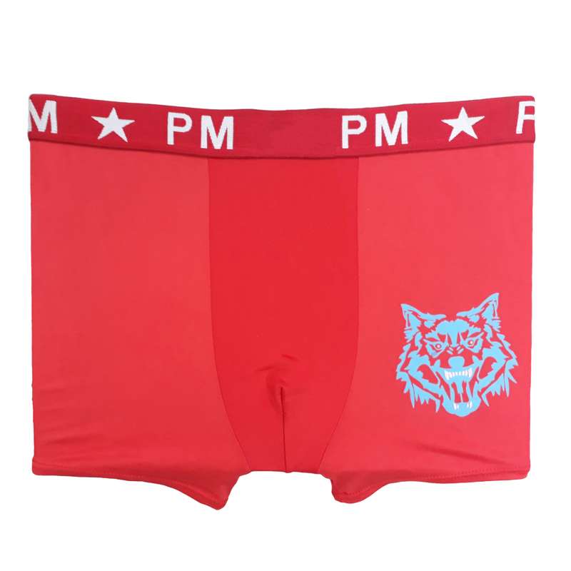 شورت مردانه مدل PM_G21