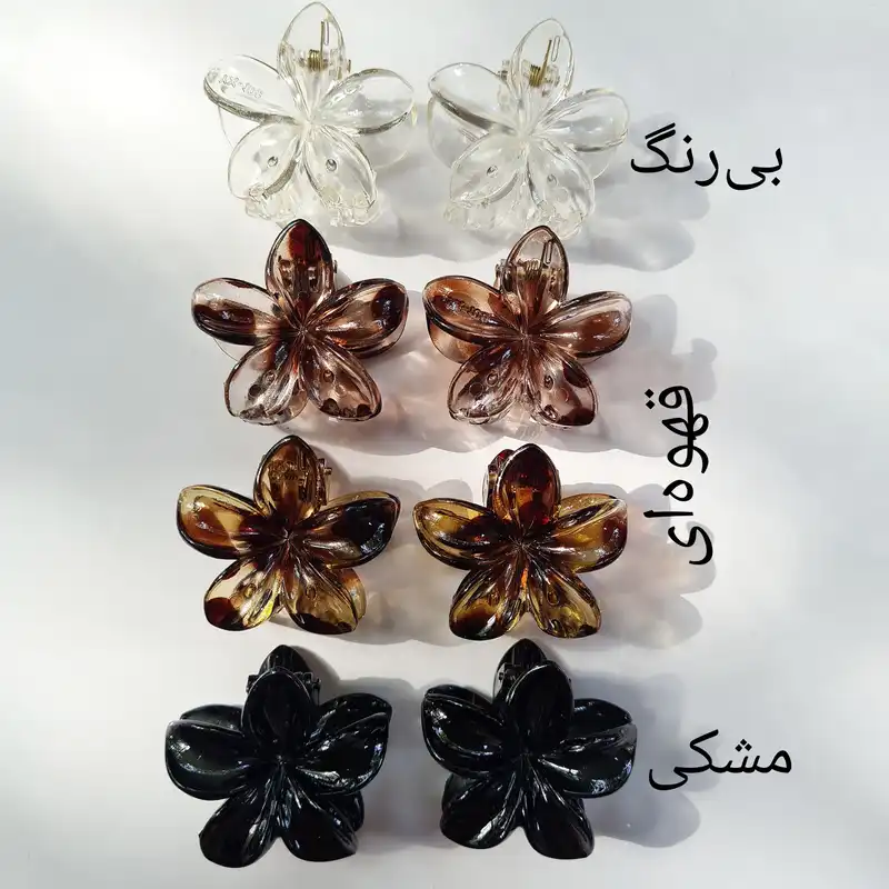 کلیپس مو زنانه مدل پلومریا کد p23 بسته 2 عددی