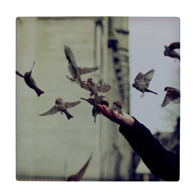  زیر لیوانی طرح پرنده ها کد    4054334_2584