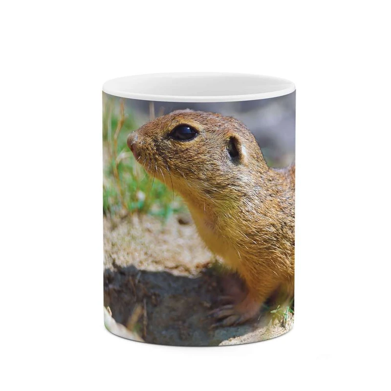 ماگ کاکتی مدل سنجاب کد mgh10101