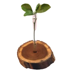 گلدان مدل آسنا