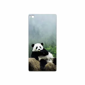 MAHOOT Panda Cover Sticker for Huawei P8