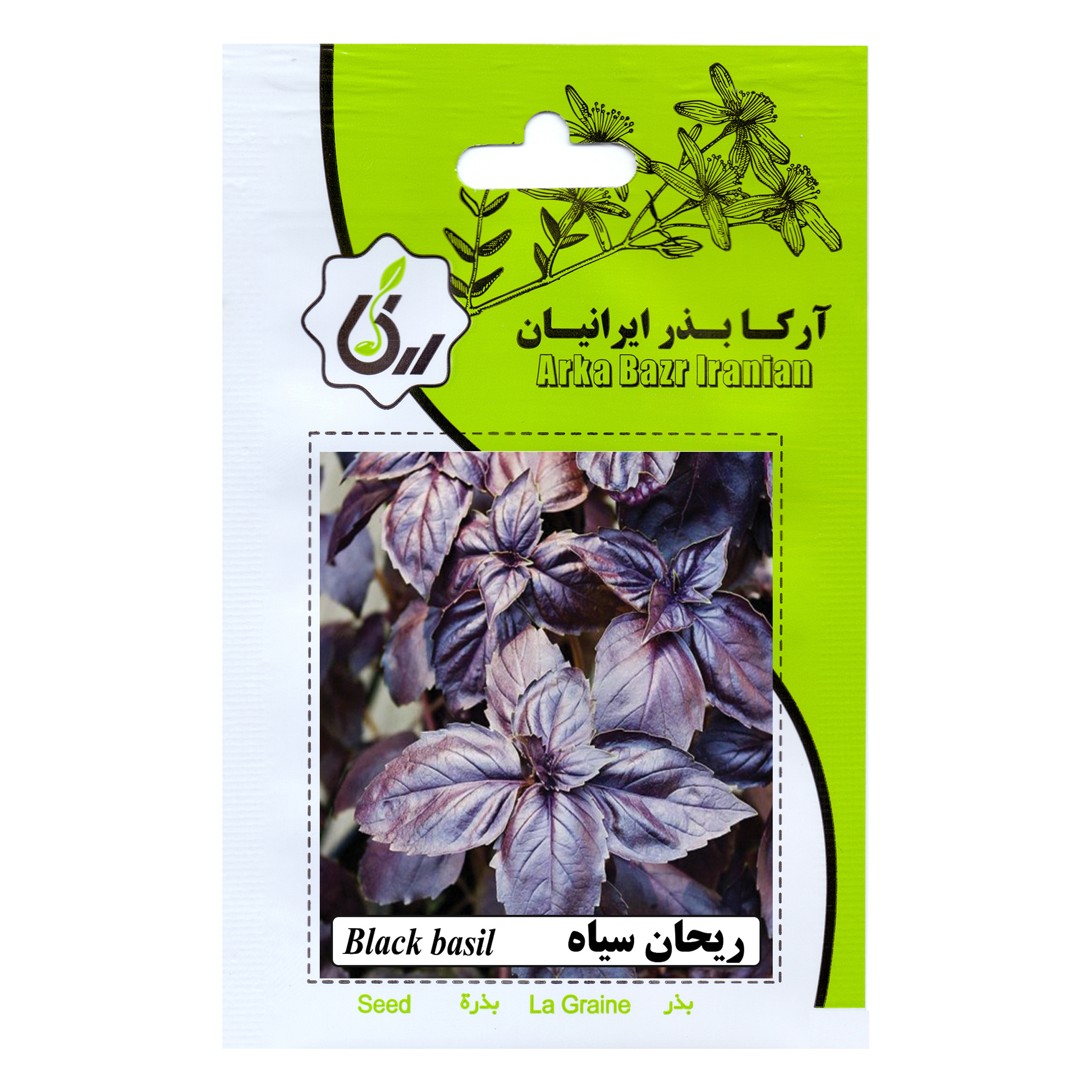 بذر ریحان سیاه آرکا بذر ایرانیان کد ARK-218
