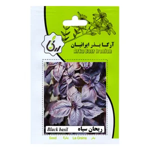 بذرریحان سیاه آرکا بذر ایرانیان مدل A23