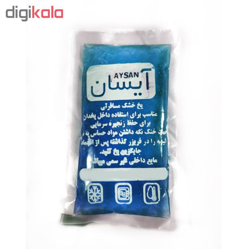 یخ خشک سفری آیسان کد 555 بسته 5 عددی