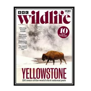 مجله BBC Wild Life نوامبر 2022