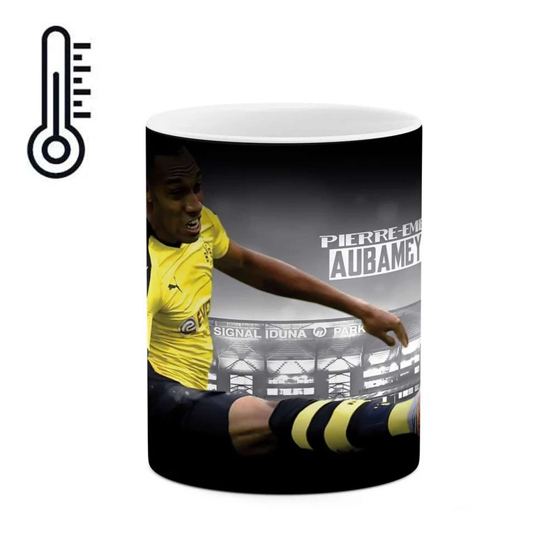 ماگ حرارتی کاکتی مدل آبامیانگ کد mgh10309