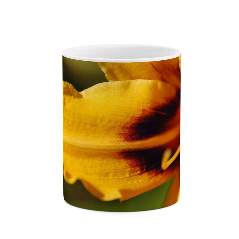 ماگ کاکتی مدل گل کد mgh12040