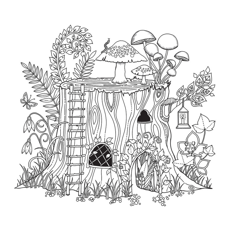 دفتر رنگ آمیزی مدل Enchanted Forest