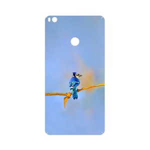 MAHOOT Cyanocitta cristata Cover Sticker for Xiaomi Mi Max 2