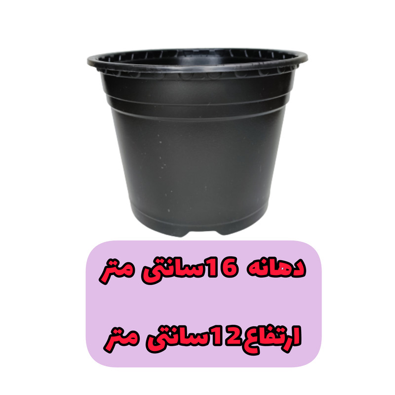 گلدان مدل ژله ای کد A_16 بسته 10 عددی