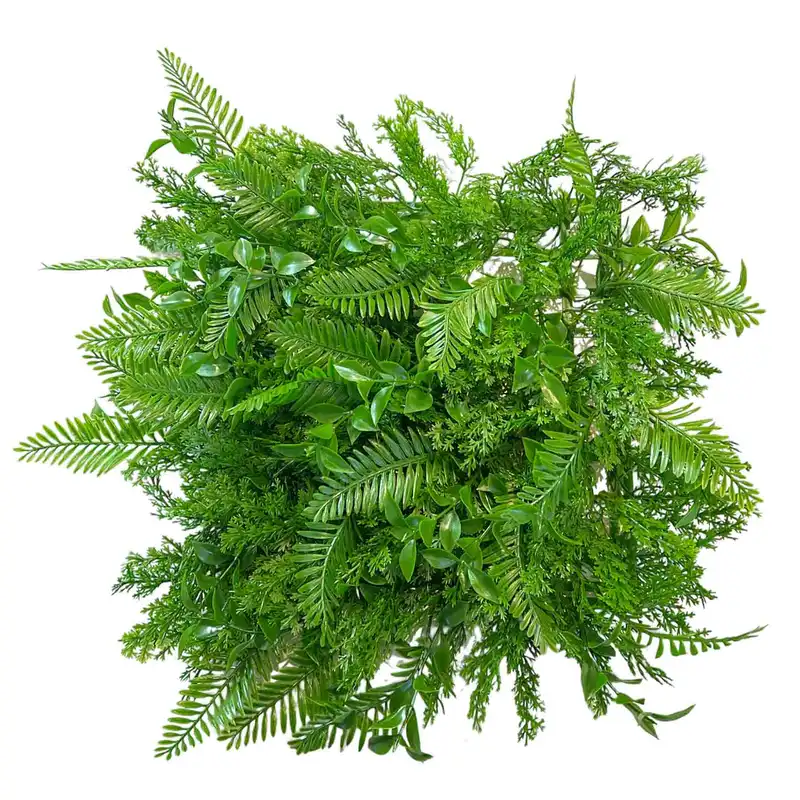 دیوار پوش مدل دیوار سبز مصنوعی طرح برگ گشنیز سیکات