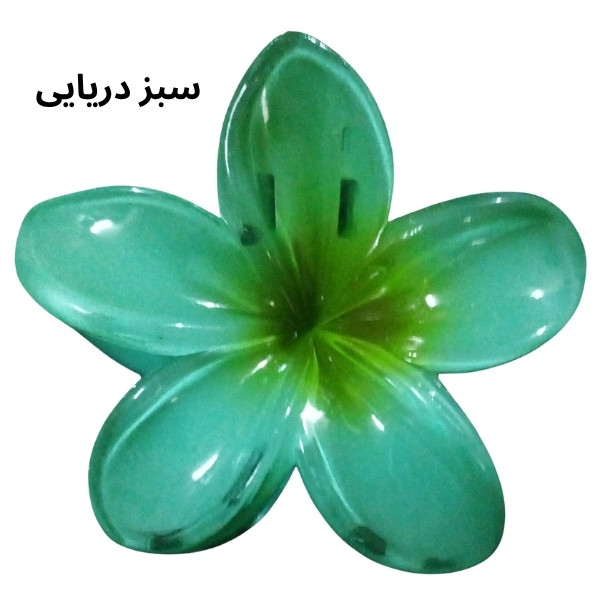 کلیپس مو زنانه 7