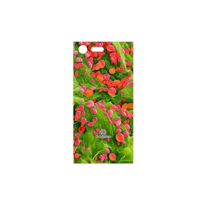 MAHOOT Atom Universe 3 Cover Sticker for Sony Xperia X Compact