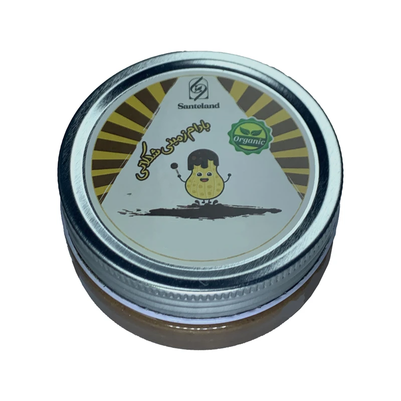 کره بادام زمینی شکلاتی سانته لند - 100 گرم