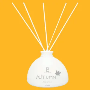 خوشبوکننده هوا مدل AUTUMN حجم 250 میلی لیتر
