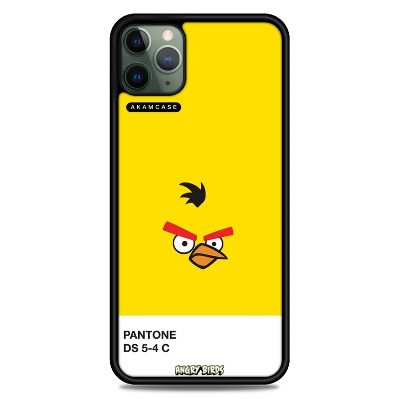 کاور آکام مدل AMC-WA11PROMAX-ANGRY BIRDS14 مناسب برای گوشی موبایل اپل iPhone 11 Pro Max