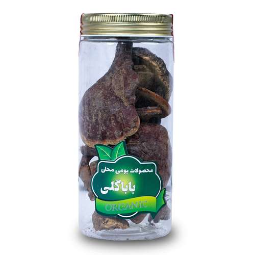 قارچ گانودرما ممتاز باباگلی عطار - 60 گرم