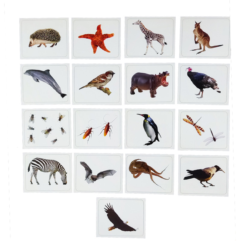 بازی آموزشی کارتهای دیدآموز مدل جانوران کد 88