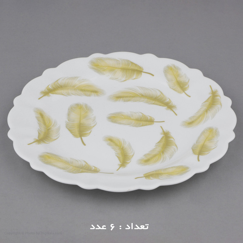 سرویس 25 پارچه آیروپال طرح دایره مدل رایا