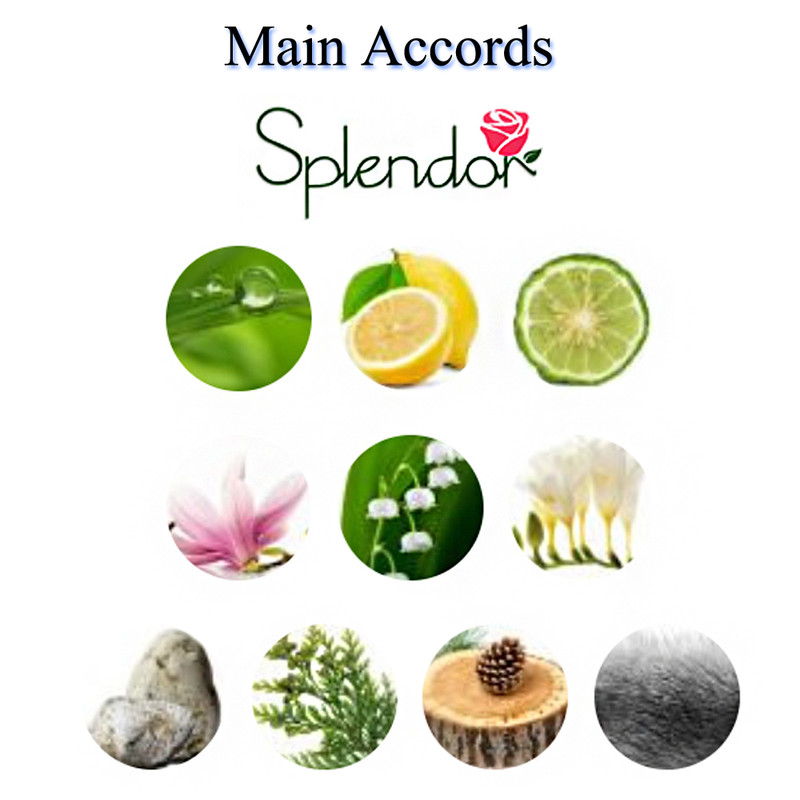 ادو پرفیوم مردانه نیفتی مدل اسپلندور حجم 100 میلی لیتر