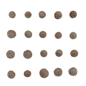 کاج مدل ریز طبیعی بسته 20 عددی