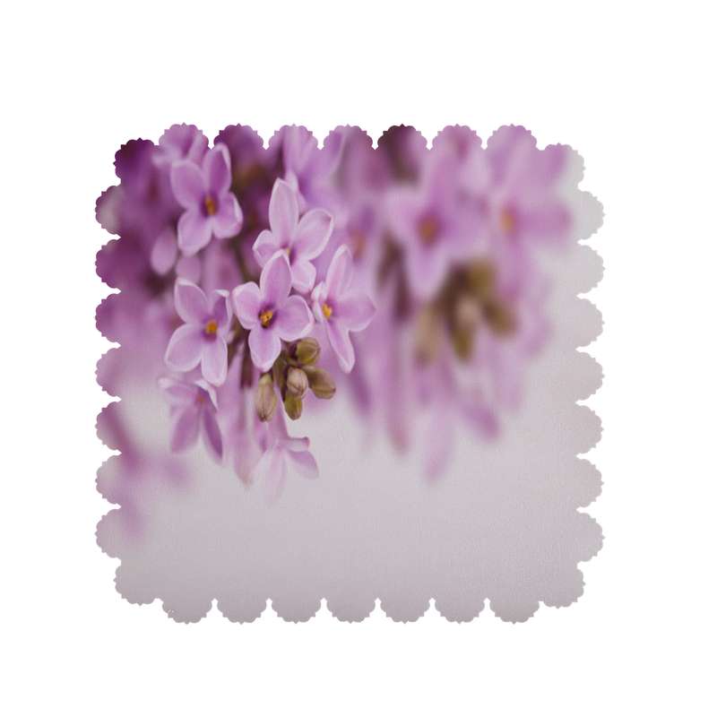  رومیزی طرح گل کد 8144B