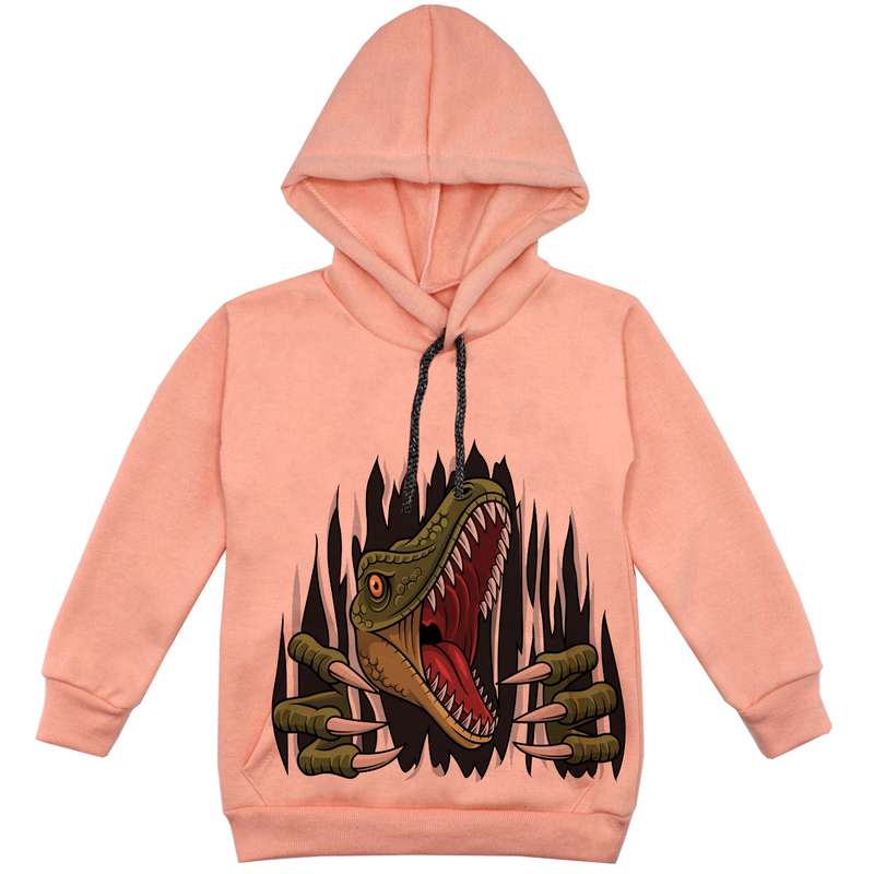 هودی پسرانه مدل دانیاسور F58 رنگ گلبهی