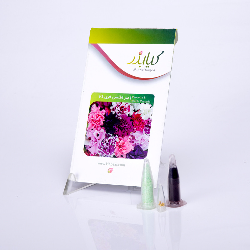 بذر گل اطلسی فری F1 کیا بذر کد 007