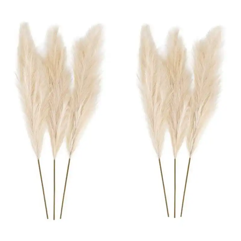دکوری مدل گل خشک پامپاس بسته 6 عددی