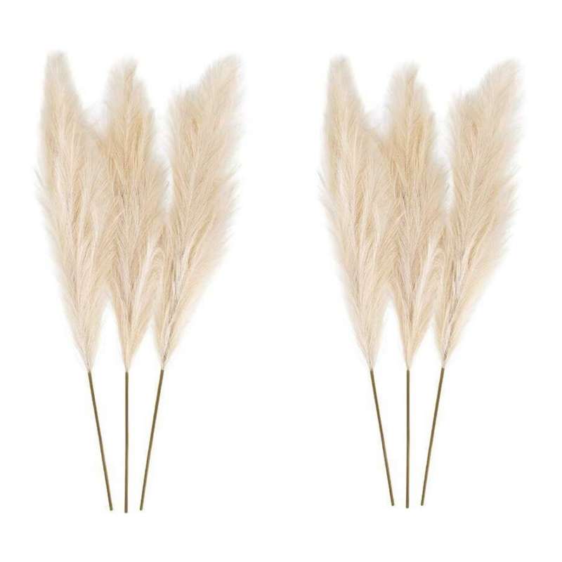 دکوری مدل گل خشک پامپاس بسته 6 عددی